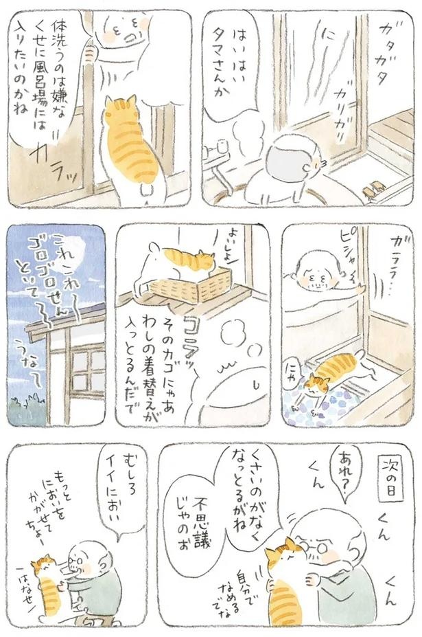 至る所でくつろぐ猫たち。ここは、じーちゃんとばーちゃんと猫の町／ねことじいちゃん（画像143/184枚目）