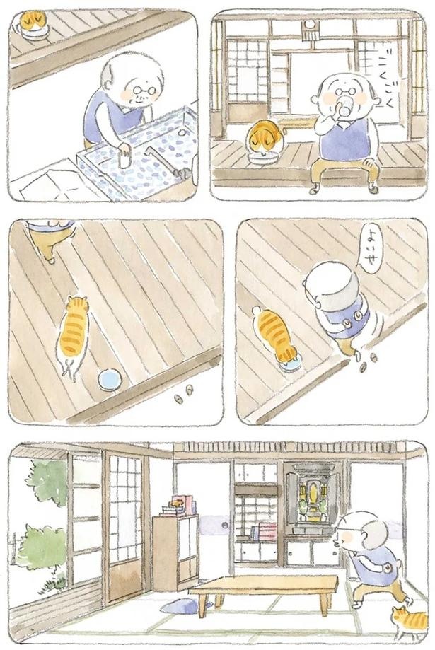 至る所でくつろぐ猫たち。ここは、じーちゃんとばーちゃんと猫の町／ねことじいちゃん（画像147/184枚目）