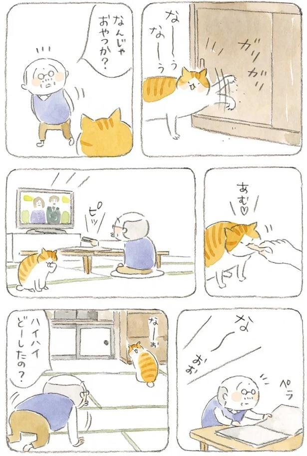 至る所でくつろぐ猫たち。ここは、じーちゃんとばーちゃんと猫の町／ねことじいちゃん（画像148/184枚目）