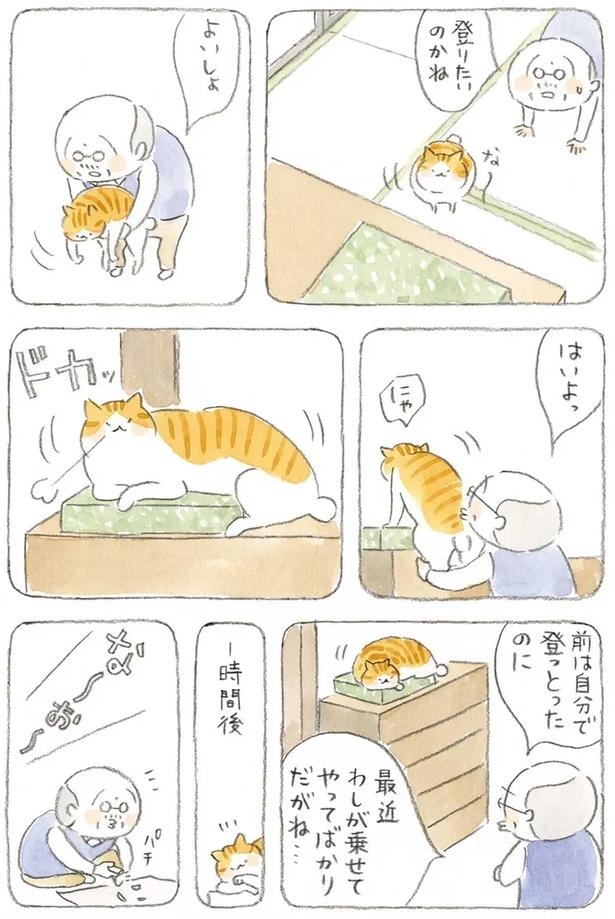 至る所でくつろぐ猫たち。ここは、じーちゃんとばーちゃんと猫の町／ねことじいちゃん（画像149/184枚目）