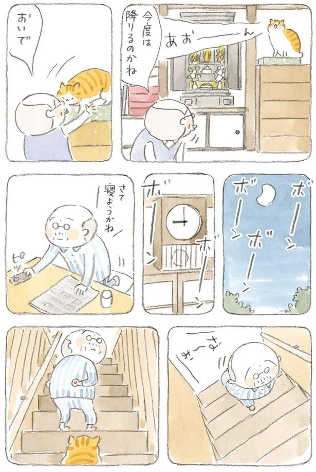 至る所でくつろぐ猫たち。ここは、じーちゃんとばーちゃんと猫の町／ねことじいちゃん（画像151/184枚目）