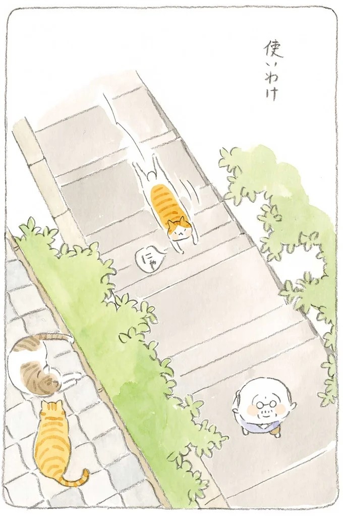 至る所でくつろぐ猫たち。ここは、じーちゃんとばーちゃんと猫の町／ねことじいちゃん（画像144/184枚目）