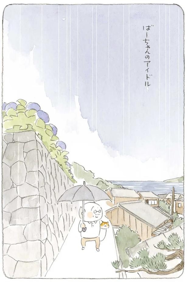 至る所でくつろぐ猫たち。ここは、じーちゃんとばーちゃんと猫の町／ねことじいちゃん（画像154/184枚目）