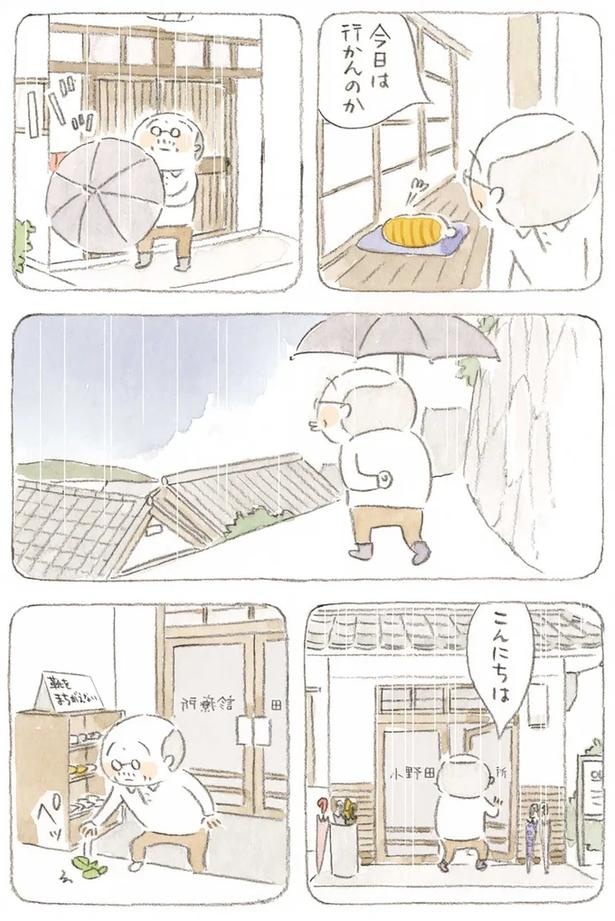 至る所でくつろぐ猫たち。ここは、じーちゃんとばーちゃんと猫の町／ねことじいちゃん（画像157/184枚目）