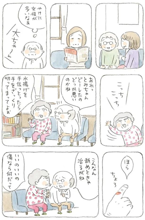 至る所でくつろぐ猫たち。ここは、じーちゃんとばーちゃんと猫の町／ねことじいちゃん（画像159/184枚目）
