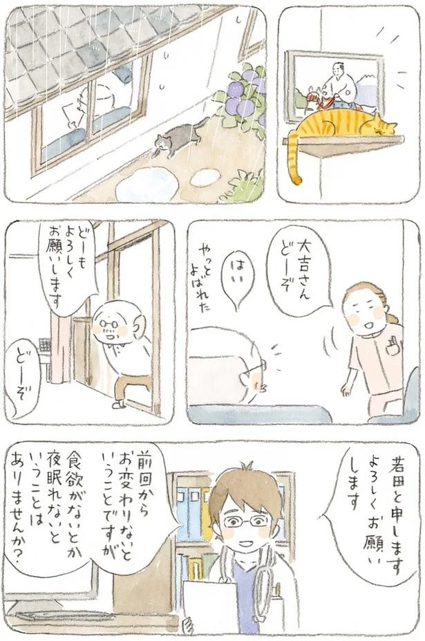 至る所でくつろぐ猫たち。ここは、じーちゃんとばーちゃんと猫の町／ねことじいちゃん（画像162/184枚目）
