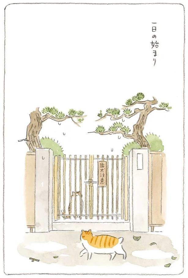 至る所でくつろぐ猫たち。ここは、じーちゃんとばーちゃんと猫の町／ねことじいちゃん（画像164/184枚目）