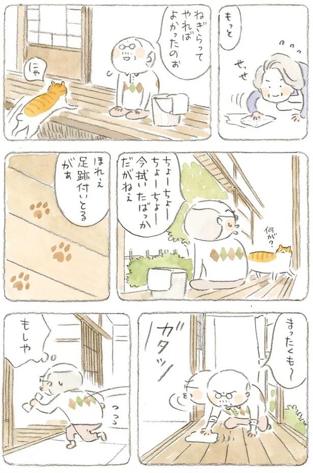 至る所でくつろぐ猫たち。ここは、じーちゃんとばーちゃんと猫の町／ねことじいちゃん（画像168/184枚目）