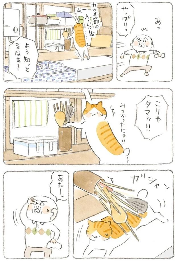 至る所でくつろぐ猫たち。ここは、じーちゃんとばーちゃんと猫の町／ねことじいちゃん（画像169/184枚目）