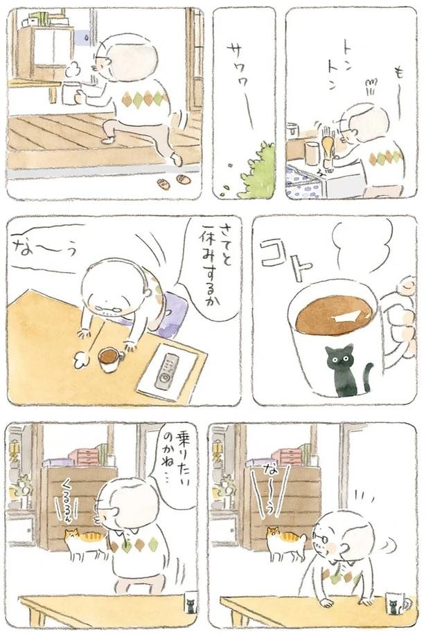 至る所でくつろぐ猫たち。ここは、じーちゃんとばーちゃんと猫の町／ねことじいちゃん（画像171/184枚目）