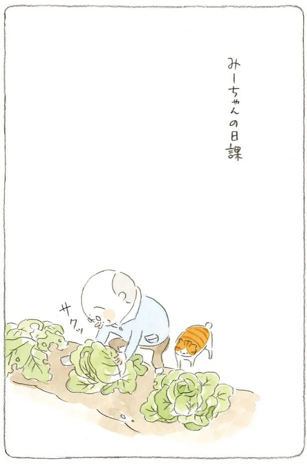 至る所でくつろぐ猫たち。ここは、じーちゃんとばーちゃんと猫の町／ねことじいちゃん（画像174/184枚目）