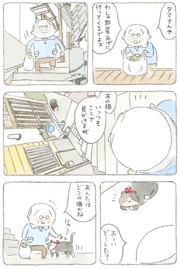至る所でくつろぐ猫たち。ここは、じーちゃんとばーちゃんと猫の町／ねことじいちゃん（画像178/184枚目）