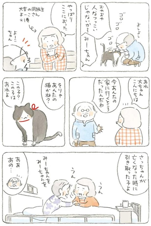 至る所でくつろぐ猫たち。ここは、じーちゃんとばーちゃんと猫の町／ねことじいちゃん（画像179/184枚目）