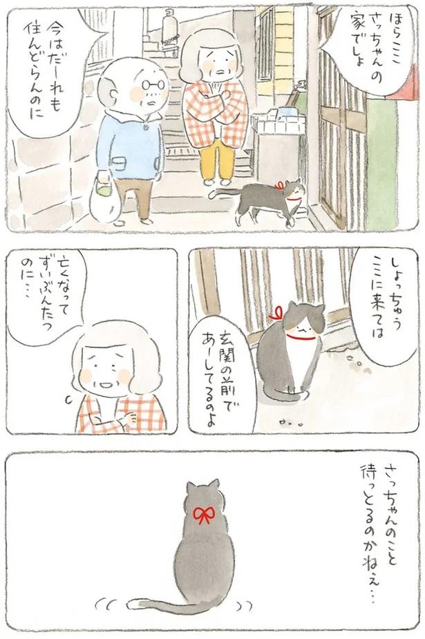 至る所でくつろぐ猫たち。ここは、じーちゃんとばーちゃんと猫の町／ねことじいちゃん（画像181/184枚目）