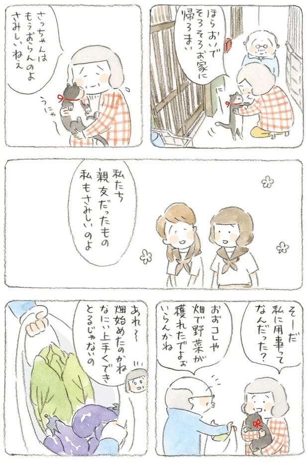 至る所でくつろぐ猫たち。ここは、じーちゃんとばーちゃんと猫の町／ねことじいちゃん（画像182/184枚目）