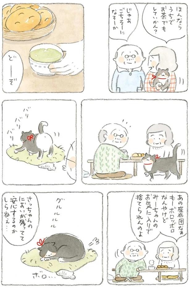 至る所でくつろぐ猫たち。ここは、じーちゃんとばーちゃんと猫の町／ねことじいちゃん（画像183/184枚目）