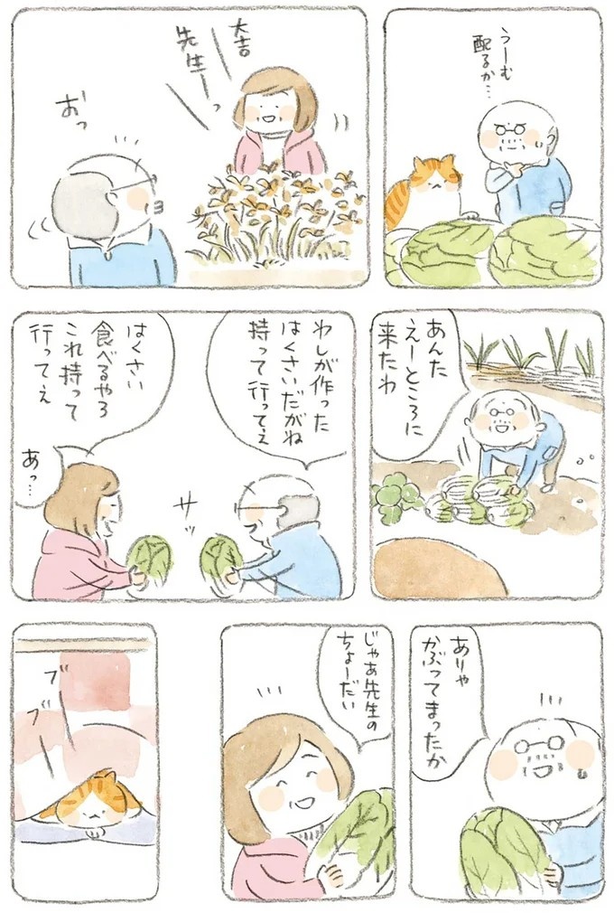 至る所でくつろぐ猫たち。ここは、じーちゃんとばーちゃんと猫の町／ねことじいちゃん（画像177/184枚目）