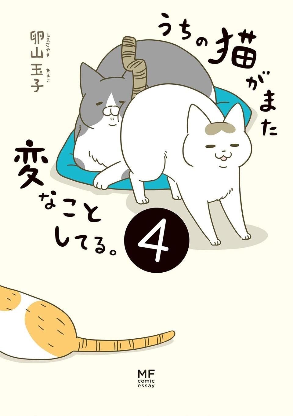 猫のかわいい「おかわり」要求。でもお皿の周りを見た飼い主が思うことは…／うちの猫がまた変なことしてる。4（画像4枚目）