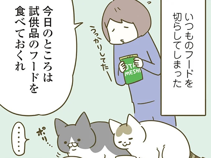 猫たちにフードが超不評。飼い主の「苦肉の策」に2匹の反応は？／うちの猫がまた変なことしてる。4