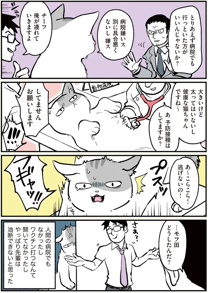 朝、起きたら猫になっていた！そもまま出社したら…まさかの展開に／ブラック企業の社員が猫になって人生が変わった話（画像7/108枚目）