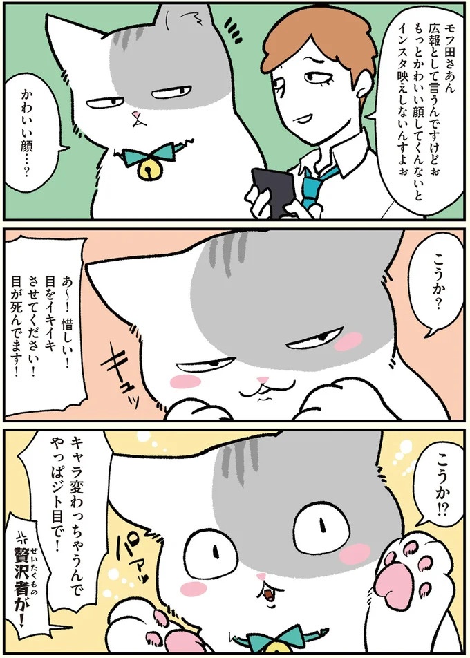 朝、起きたら猫になっていた！そもまま出社したら…まさかの展開に／ブラック企業の社員が猫になって人生が変わった話（画像16/108枚目）