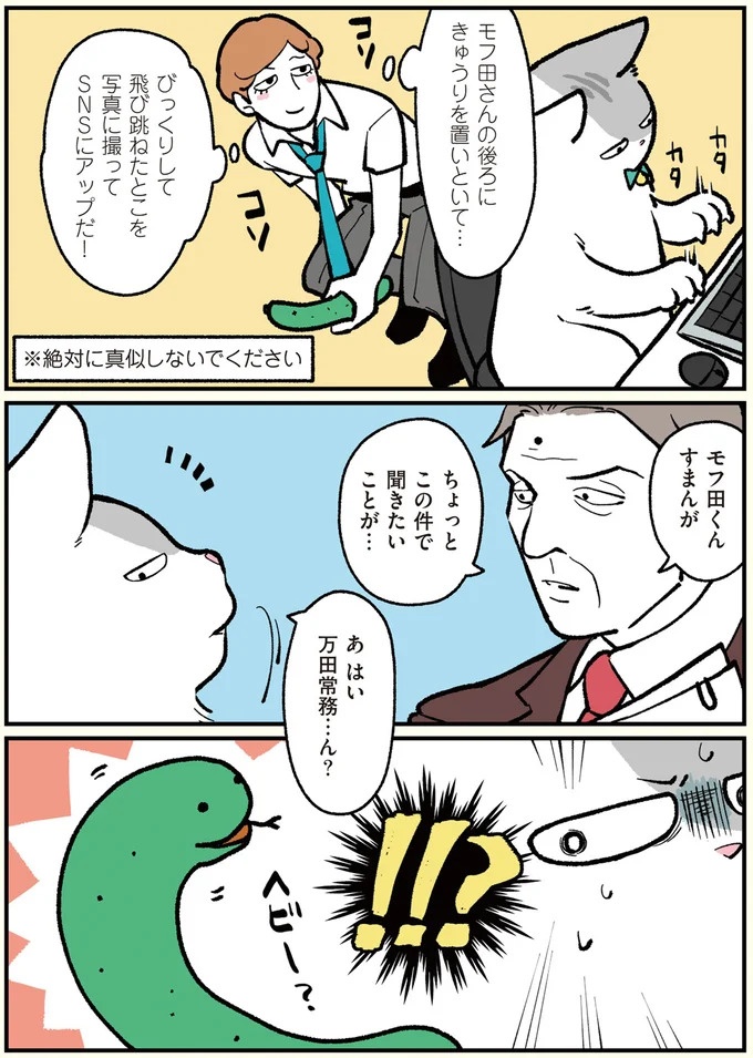 朝、起きたら猫になっていた！そもまま出社したら…まさかの展開に／ブラック企業の社員が猫になって人生が変わった話（画像42/108枚目）