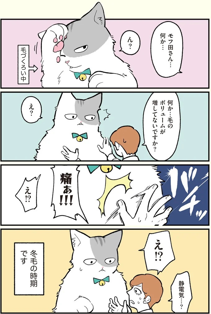 朝、起きたら猫になっていた！そもまま出社したら…まさかの展開に／ブラック企業の社員が猫になって人生が変わった話（画像49/108枚目）