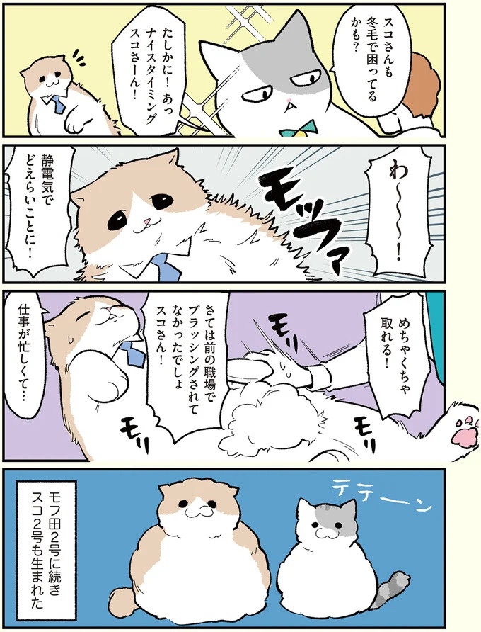 朝、起きたら猫になっていた！そもまま出社したら…まさかの展開に／ブラック企業の社員が猫になって人生が変わった話（画像52/108枚目）