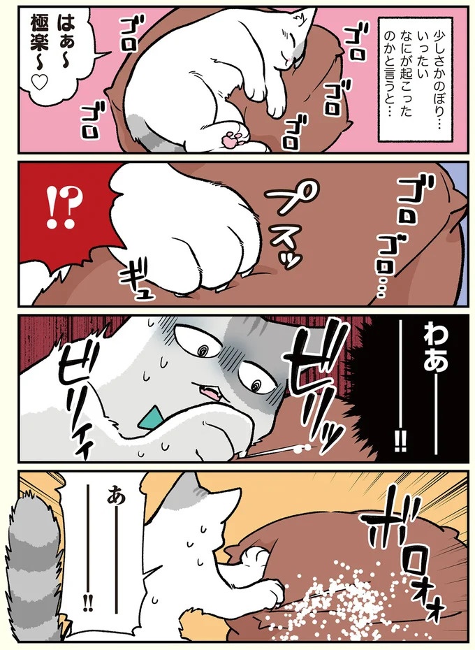 朝、起きたら猫になっていた！そもまま出社したら…まさかの展開に／ブラック企業の社員が猫になって人生が変わった話（画像64/108枚目）