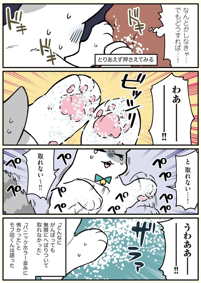 朝、起きたら猫になっていた！そもまま出社したら…まさかの展開に／ブラック企業の社員が猫になって人生が変わった話（画像66/108枚目）