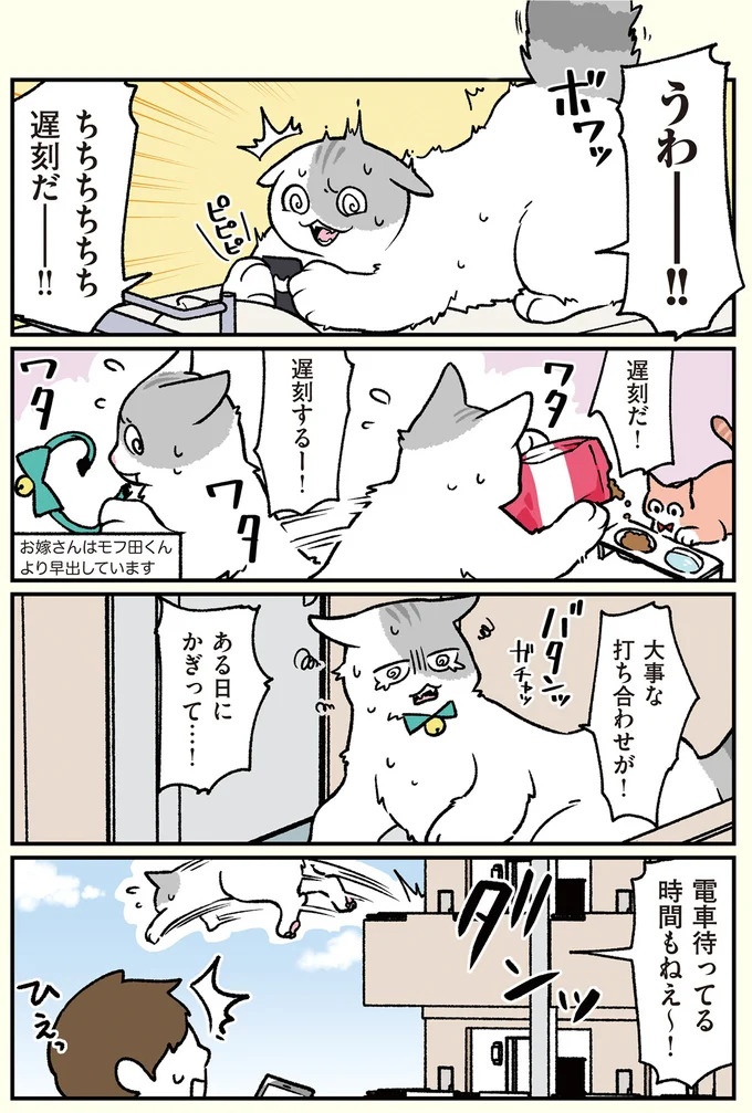 朝、起きたら猫になっていた！そもまま出社したら…まさかの展開に／ブラック企業の社員が猫になって人生が変わった話（画像76/108枚目）