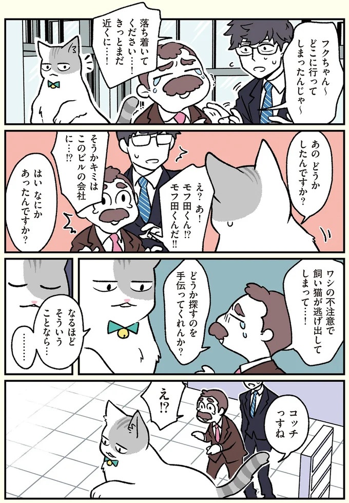 朝、起きたら猫になっていた！そもまま出社したら…まさかの展開に／ブラック企業の社員が猫になって人生が変わった話（画像82/108枚目）