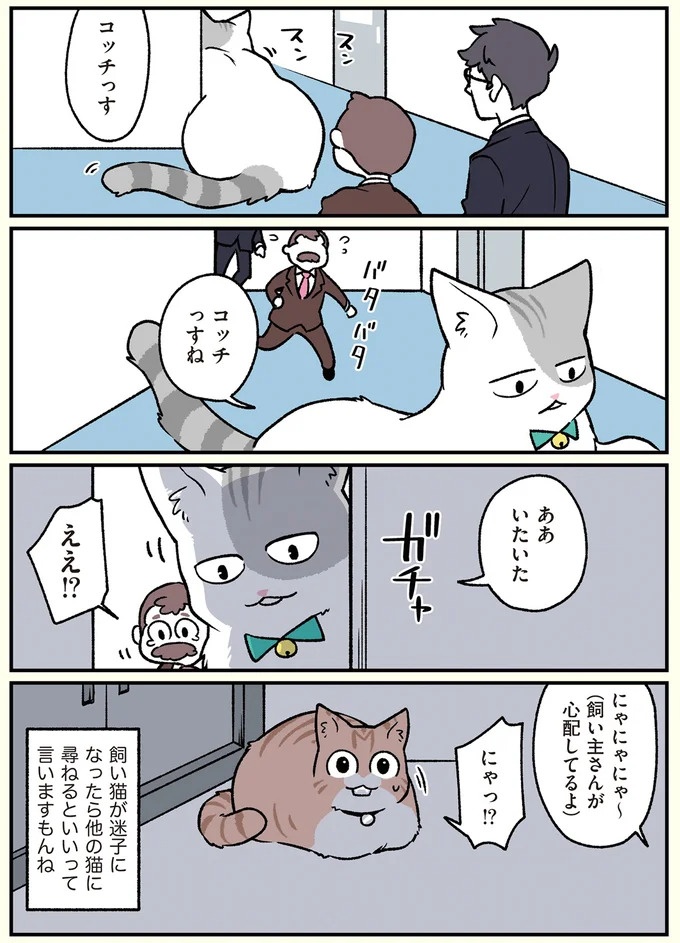 朝、起きたら猫になっていた！そもまま出社したら…まさかの展開に／ブラック企業の社員が猫になって人生が変わった話（画像83/108枚目）