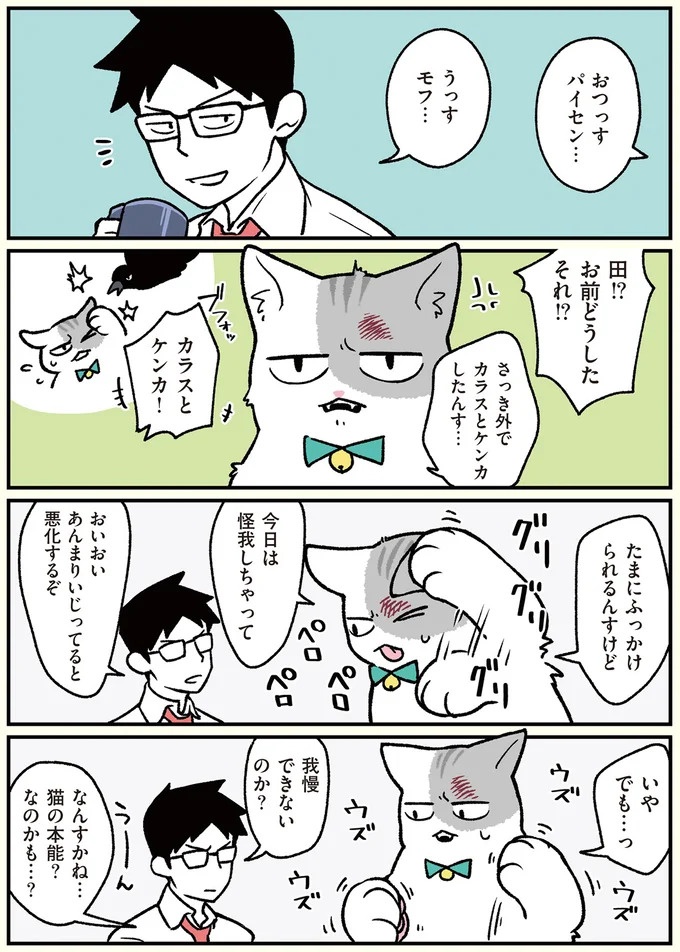朝、起きたら猫になっていた！そもまま出社したら…まさかの展開に／ブラック企業の社員が猫になって人生が変わった話（画像86/108枚目）