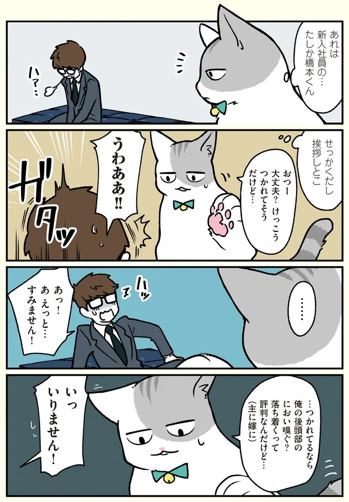 朝、起きたら猫になっていた！そもまま出社したら…まさかの展開に／ブラック企業の社員が猫になって人生が変わった話（画像92/108枚目）