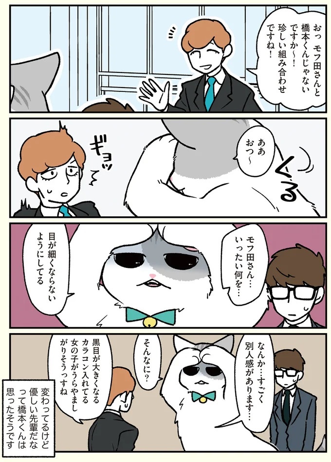 朝、起きたら猫になっていた！そもまま出社したら…まさかの展開に／ブラック企業の社員が猫になって人生が変わった話（画像96/108枚目）