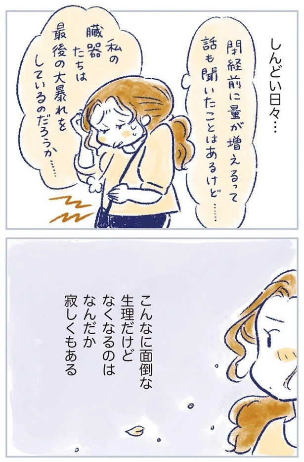 「なんだか前と違う」白髪、めまい、湿疹…43歳女性を襲った「不調の正体」／私の生理のしまい方（画像326/471枚目）