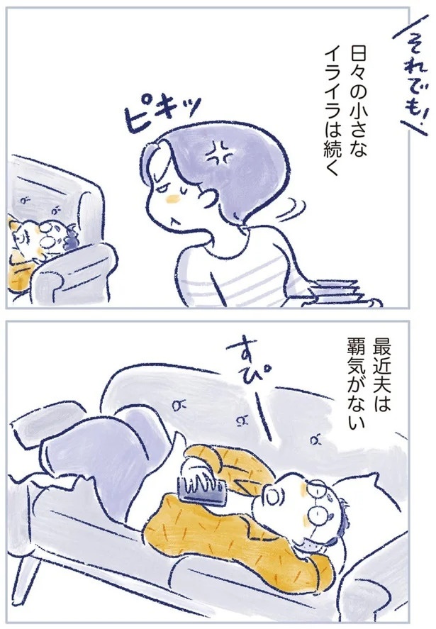 「なんだか前と違う」白髪、めまい、湿疹…43歳女性を襲った「不調の正体」／私の生理のしまい方（画像427/471枚目）