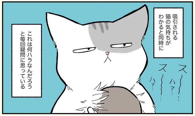 「これは何ハラ？」鬼のように怖かった上司がおかしくなって／ブラック企業の社員が猫になって人生が変わった話