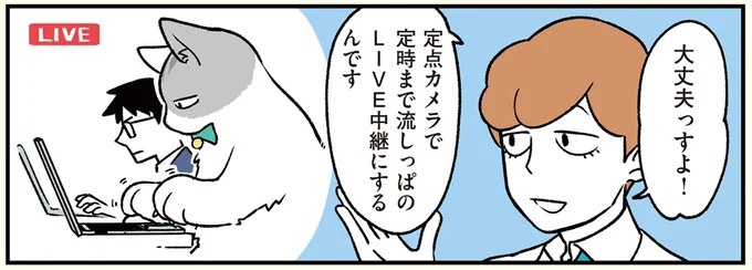 「定点カメラでライブ配信」猫になった男で動画を作りたい広報マン／ブラック企業の社員が猫になって人生が変わった話2