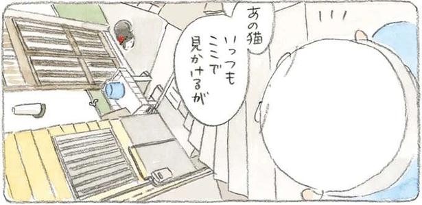 赤いリボンの猫を、いつも同じ家の前で見かける。そのワケは？／ねことじいちゃん3