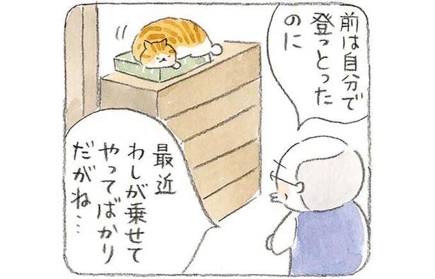 タンスや階段の上り下りにじーちゃんへSOSを出す猫。もう年だから…と思っていたら!?／ねことじいちゃん3
