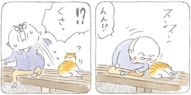 「んん!? くさっ」愛猫から悪臭が！ 洗いたいじいちゃんvs嫌がる猫…結末は／ねことじいちゃん3