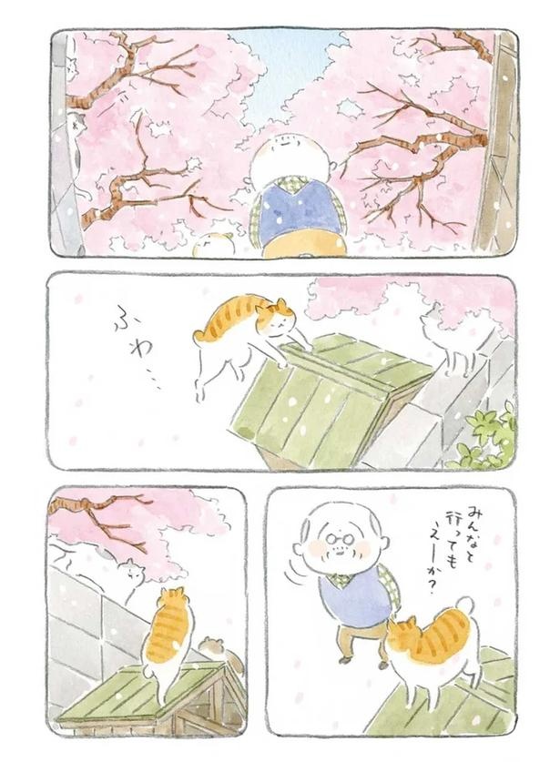 じーさんとばーさんと猫たちと。港、窓辺、道、階段…穏やかな島／ねことじいちゃん2（画像8/12枚目）