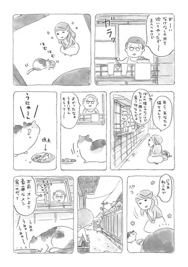 土鍋で豆ごはんを炊きながら。猫がきっかけだったばーさんとの出会いを思い出す／ねことじいちゃん（画像8/12枚目）