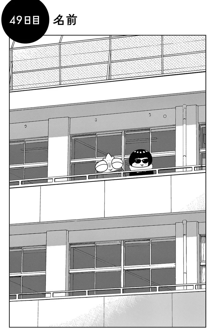 些細なことでも暴力を…DV彼氏から夜逃げしたい依頼者。でも同席した親友が...え？／夜逃げ屋日記5（画像134/354枚目）
