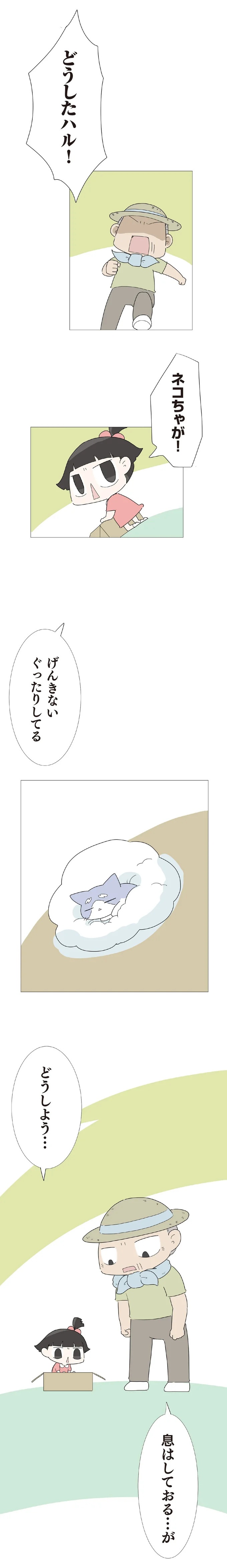 3歳の子を遺し、30歳で亡くなった一人娘。子育てを託された70歳の父は…／ハルとゲン（画像261/413枚目）