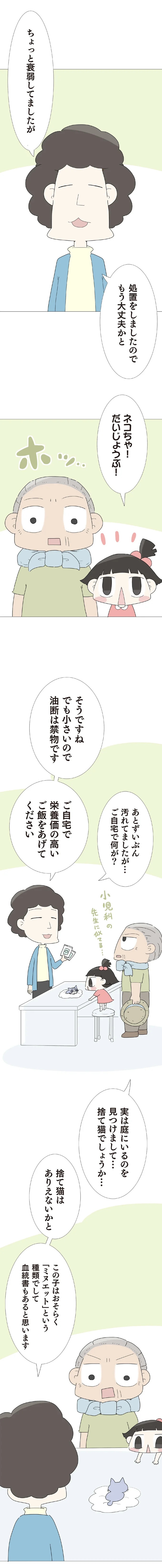 3歳の子を遺し、30歳で亡くなった一人娘。子育てを託された70歳の父は…／ハルとゲン（画像264/413枚目）