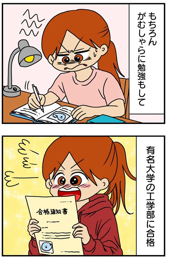 工学部に行きたい！ SEになりたい！ 娘に言われた父の反応／マウンティング男の価値観をぶち壊した結果（画像17/291枚目）