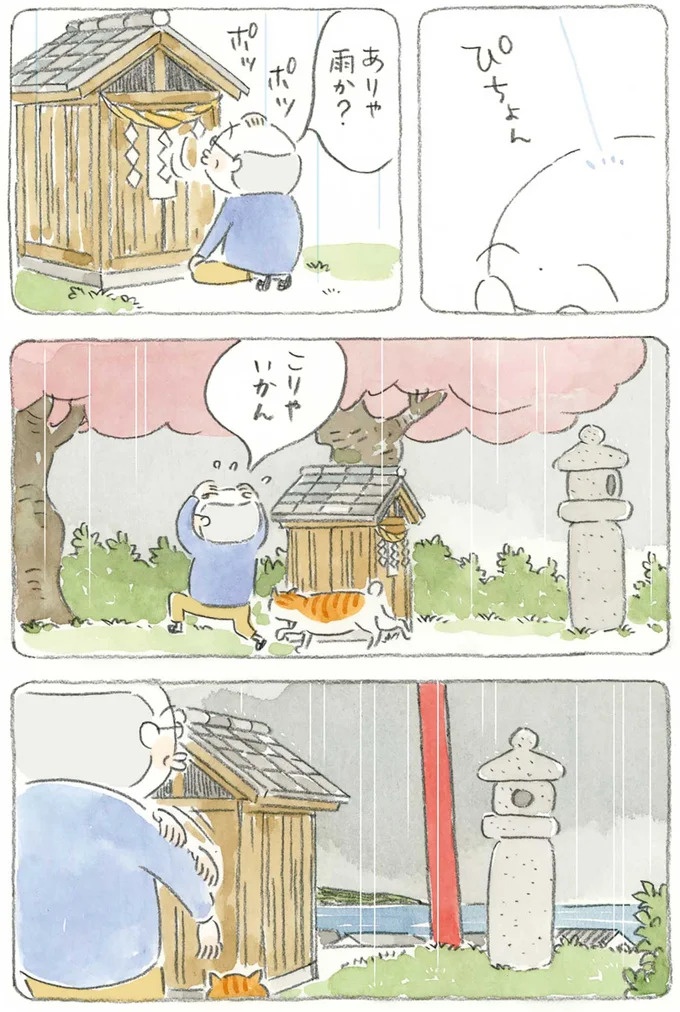 通り雨にじいちゃんと猫が仲良く雨宿り。ここは、じいちゃんとばあちゃんと猫の町／ねことじいちゃん4（画像3枚目）